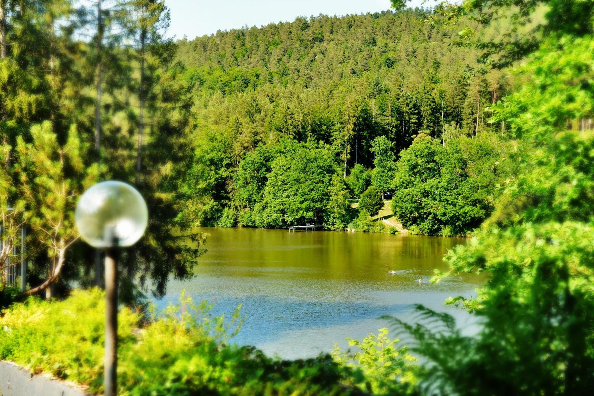 Das Dreiburgensee Naturhotel & Spa Thurmansbang Екстериор снимка